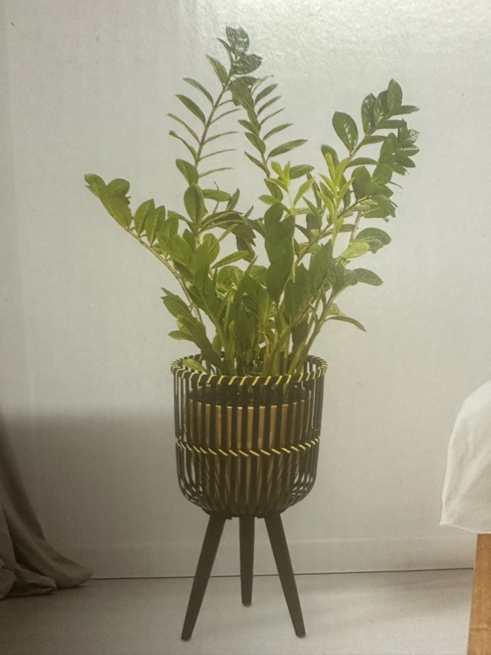 Belavi black & tan Plant Holder on Stand (2 available)
